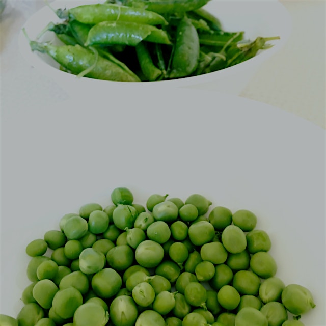 I have never appreciated frozen peas more until I podded all of these peas for dinner tonight, on...
