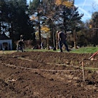 "Thank you for your interest in volunteering at the Arcadia Center for Sustainable Food & Agriculture! Come out to the farm and help us harvest several hundred pounds of GARLIC! The garlic has been growing since November and is ready to come out of the ground and go onto our mobile markets! 
This is a great way to get an introduction to Arcadia and get your hands in the earth here on the farm while doing so! We welcome folks of all ages. If you plan to bring a child under the age of 6 years old, they will need adult supervision during the entirety of the day. Adult hand tools (shovels, forks, etc) can be handled by anyone over the age of 12. We have kid-sized tools perfect for any younger volunteers.
If you would like to register a group of greater than 5 individuals, please contact farmteam@arcadiafood.org to learn about our options for group volunteering.
Farm work may include: preparing planting beds, planting seeds, transplanting, sifting compost, hauling manure and compost, digging, watering and more. We provide gloves, tools, and drinking water.
On Open Saturday Volunteer Days, volunteers should:
Register in advance.
Come on time! We start promptly at 9am.
Wear clothes you don’t mind getting dirty, including close-toed shoes.
Dress for the weather.
Bring a water bottle and/or snack.
We look forward to welcoming you to Arcadia Farm.
 Getting to Arcadia:
From Rt 1, turn at the light onto Woodlawn Rd. Follow the road to the entrance to Woodlawn Estate- you’ll see the sign. Follow the entrance road, you’ll pass the Farm on your right, and follow the signs to parking. Once parked, follow the brick path to the white gazebo in the distance.
 
About Arcadia:
Just a few short miles from downtown Washington, DC, an innovative new non-profit farming and food initiative has taken root. Arcadia Center for Sustainable Food & Agriculture is dedicated to creating a more equitable and sustainable food system and in the Washington, DC region Our mission is to imp..."