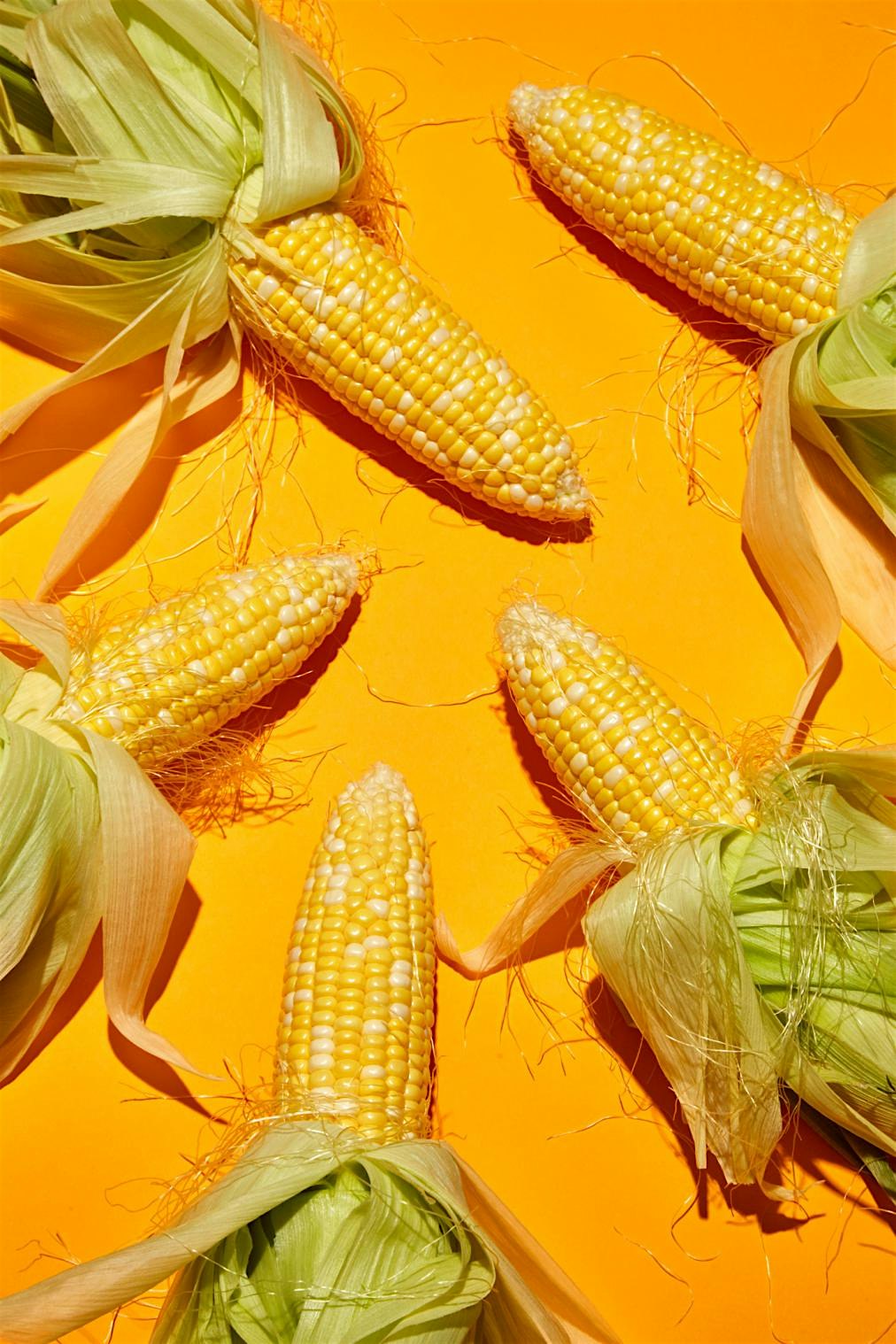 Compared to people who ate the least amount of subsidized food, the people who ate the most had a...