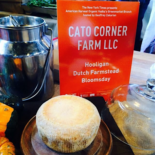 Cato corner farm cheese... Melt in your mouth. Hooligan cheese... For cheese hooligans 