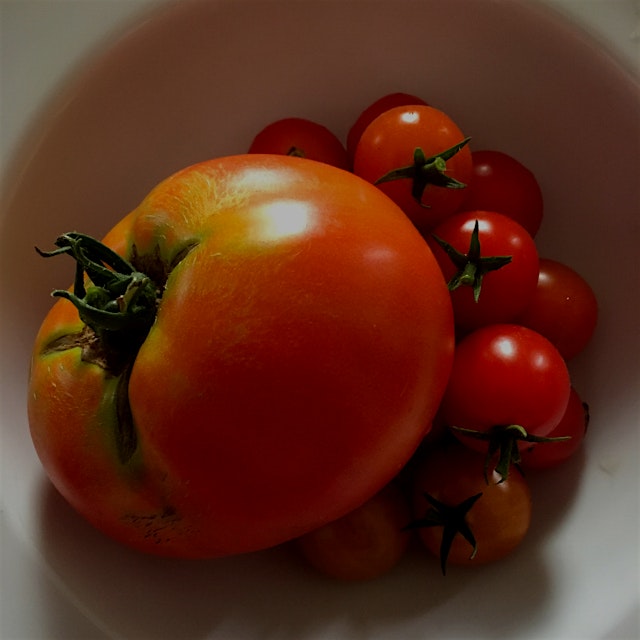 Tomato pie posts are imminent. #auriasmalaysiankitchen #thesamballady #tomatoes #homegrown #garde...