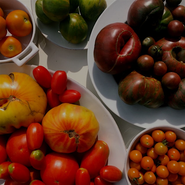 Tomatoes come in such a wide variety of colors, flavored and textures. It's one of my favorite pa...
