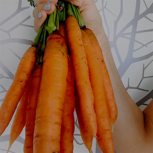 Wow these carrots are vibrant and fresh and crisp - and they also happen to be perfect. With all ...
