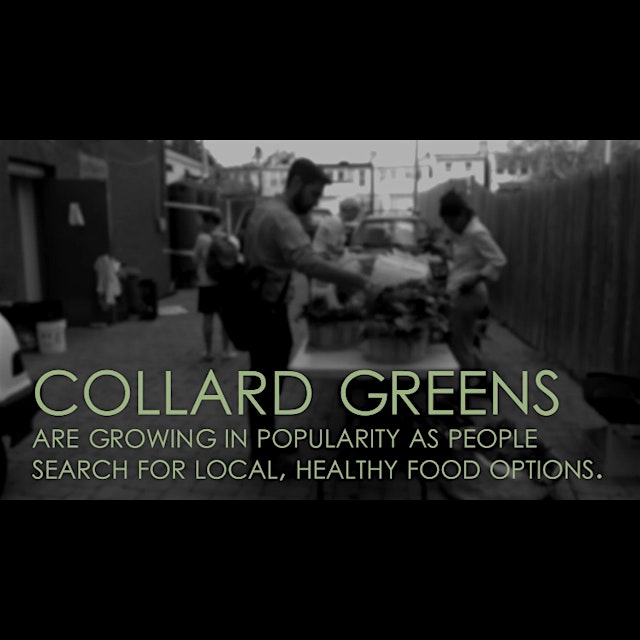 "The Culture of Collards" is a finalist for SAVEUR Magazine's best food video award. Please vote ...