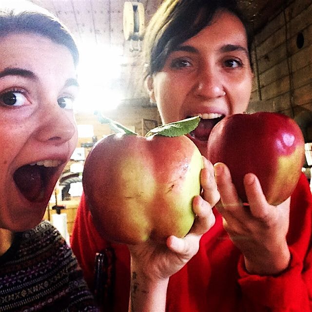 Hanner's Jumbo
#oneapplepie
#thebigapple