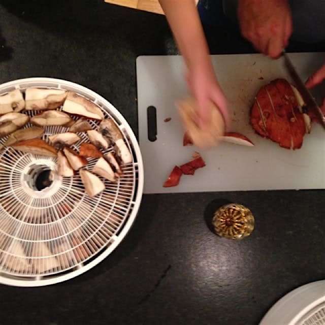 A rainy day of mushroom foraging brought this bounty. Time to dehydrate and store these delicious...