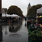 Rainy day at the Burrough Hall Farmer's Market - Brooklyn 