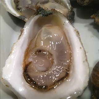 Little creek oysters...Fresh from North Fork waters #LongIsland