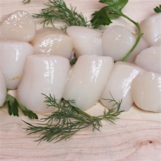 Peconic Bay Scallops 
#LongIsland 