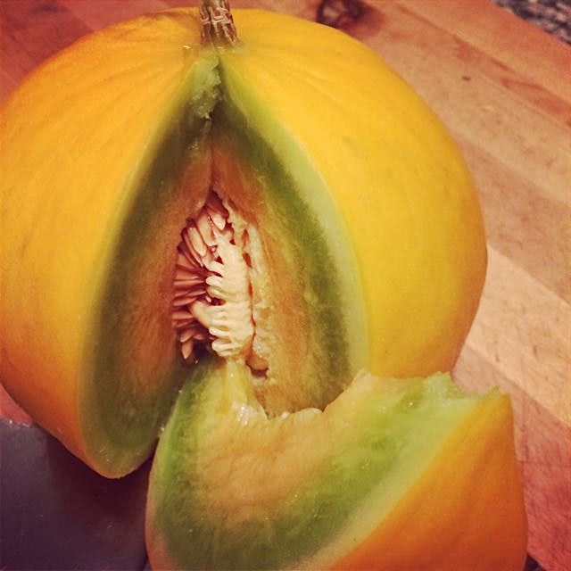 Best storage melon around?