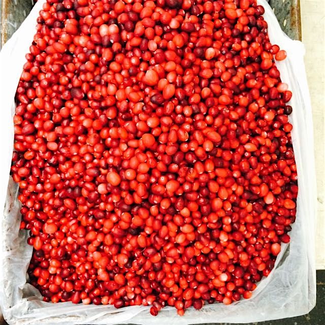 Twisting my arm... Sure I'll make cobbler 