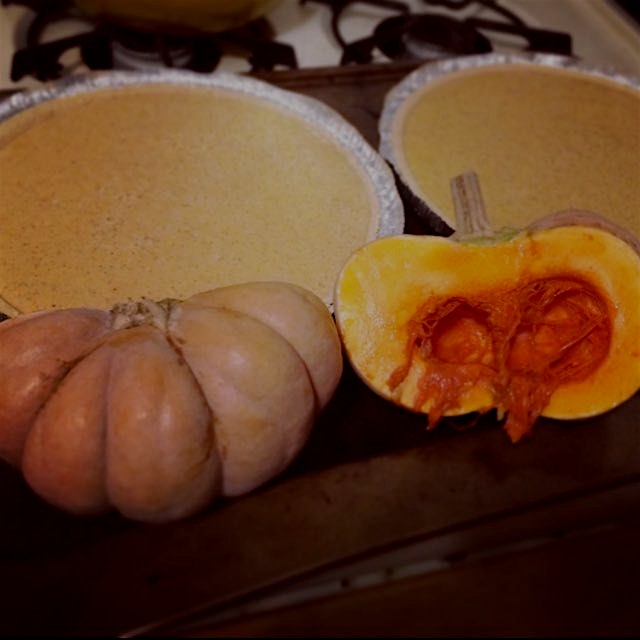 Pie time!🎃 #pumpkinpies #baking #thanksgiving #love 