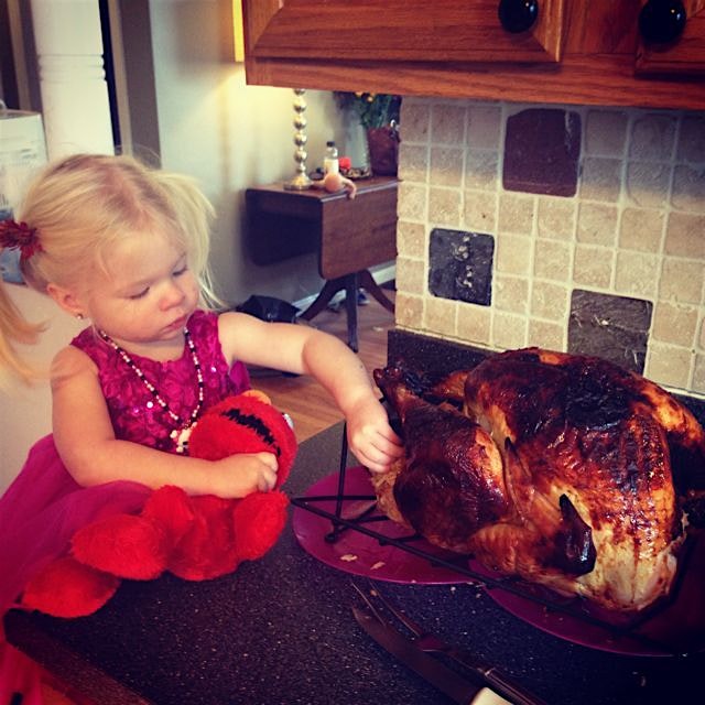 The smallest turkey thief in the house. I mean it's hard to resist a turkey that delicious looking. 