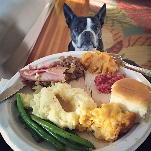 I know just how he feels... 😛🍗🍴 #thanksgiving