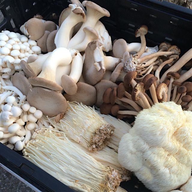 Beautiful #mushrooms at Greenpoint #greenmarketnyc. #medurafarm
