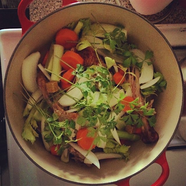 Makin' turkey broth! I really love how Thanksgiving dinner is the meal that just keeps on giving.
