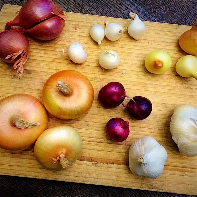 The foundation of flavor...love my onions and garlic this time of year.