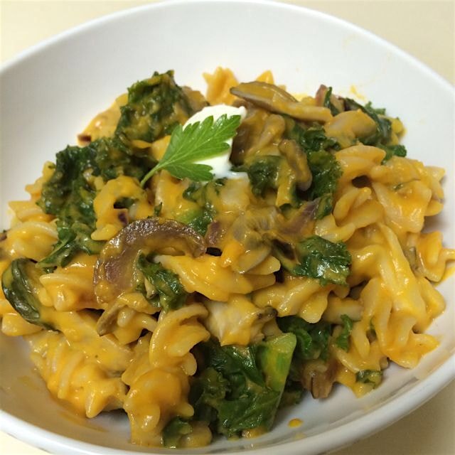 Dinner tonight: Ginger Pumpkin Macaroni with Kale and Mushroom sautee. Dollop of Creme fraiche. #...