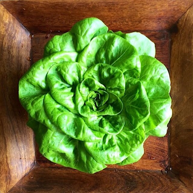 This beautiful head of locally grown Bibb Lettuce is too pretty to eat....so I closed my eyes and...