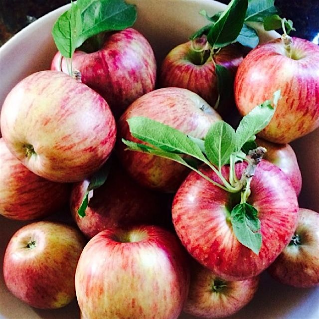 Keeping these on the counter ready to eat makes "An apple a day" totally doable 