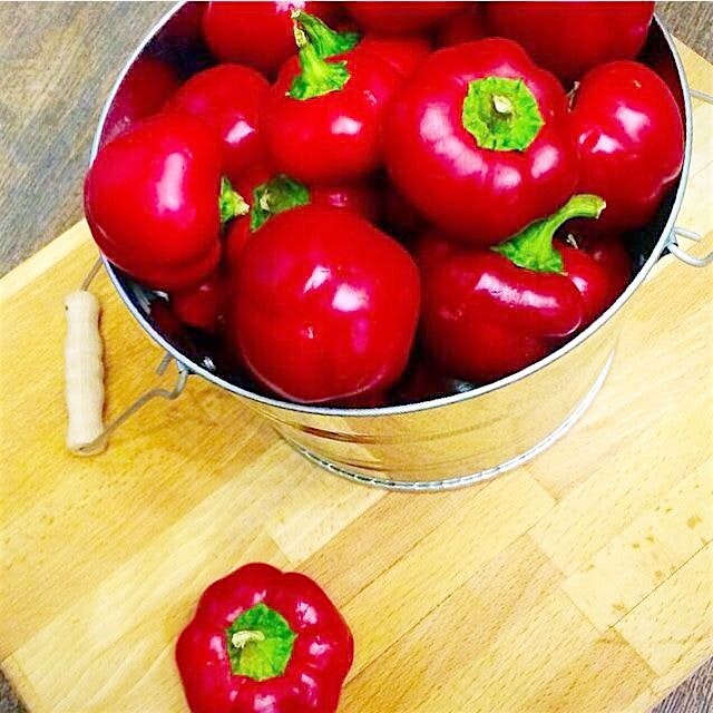 These little fellas pack quite a big punch...