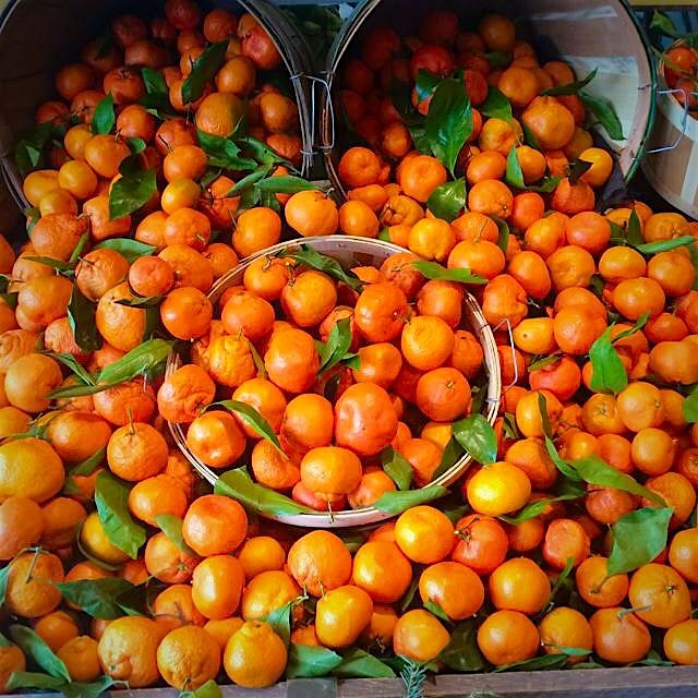 So absurdly juicy & sweet....and delicious