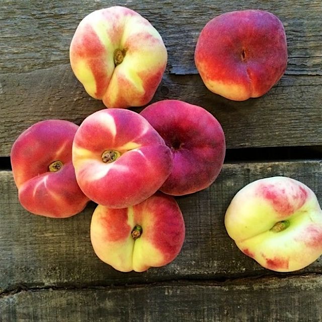 The healthiest "donut" you can eat...