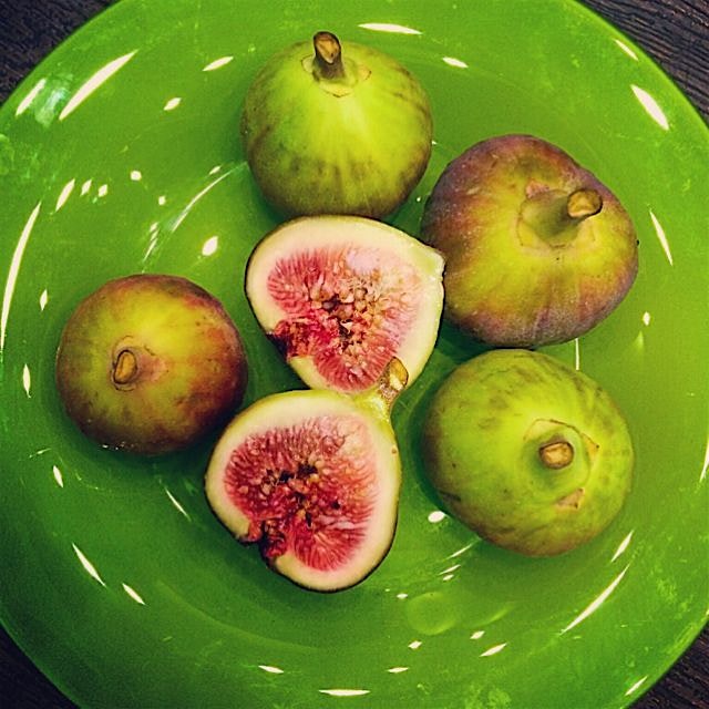 Mmmmmm. Figs....