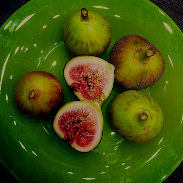 Mmmmmm. Figs....