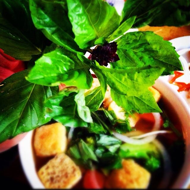 Thai Basil makes or breaks a good #Pho. If you don't have any, #PHOgeddaboudit! 