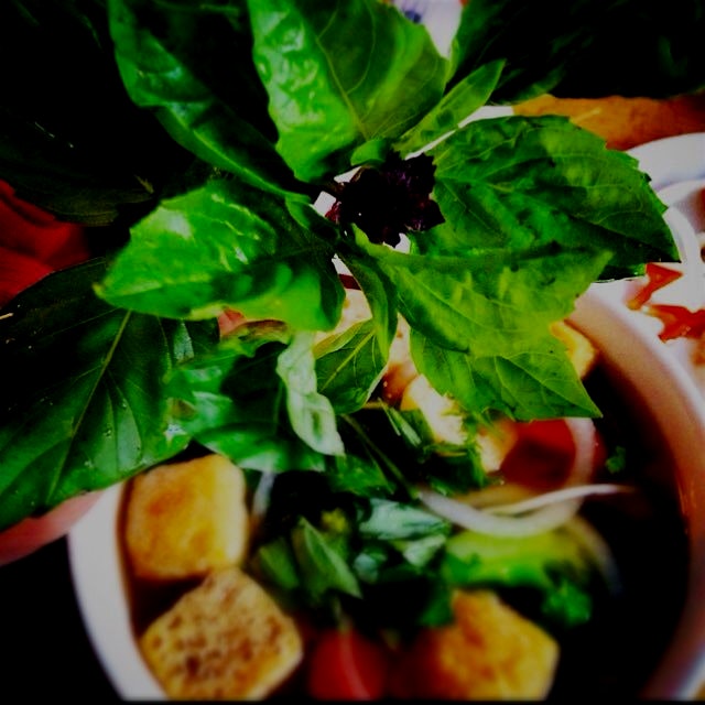 Thai Basil makes or breaks a good #Pho. If you don't have any, #PHOgeddaboudit! 