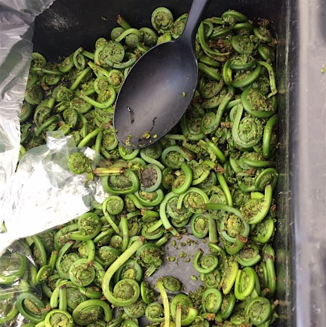 eastern market sunday.