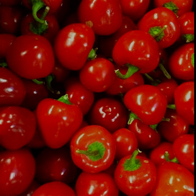 Just a pretty pic of Cherry Peppers