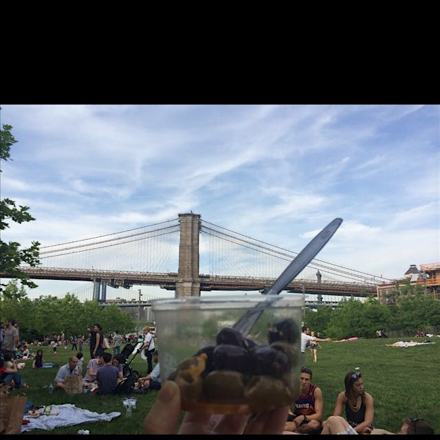 Brooklyn Bridge Park picnic 