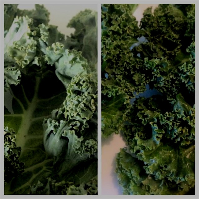 Soak old soggy kale in water for a couple of hours and they will be crispy and tasty again! #acci...