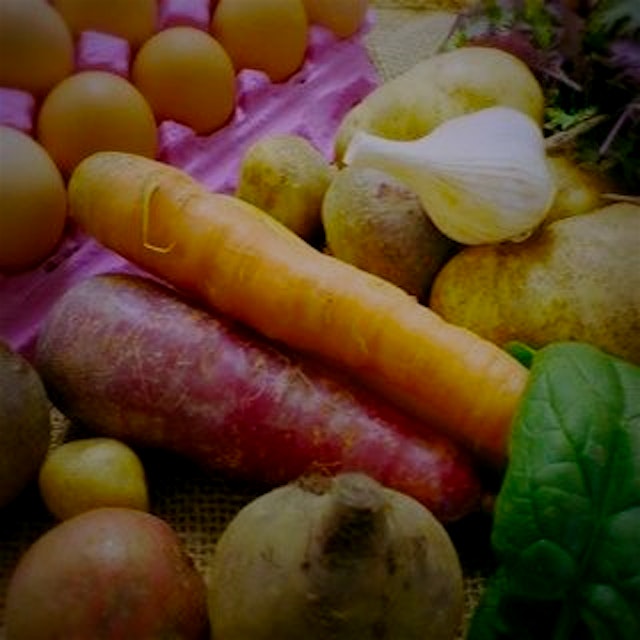 SIGN UP TODAY: 

$31.25/Week- 4 Weeks of Local, Organic Produce from Sang Lee Farms & KK’s The Fa...