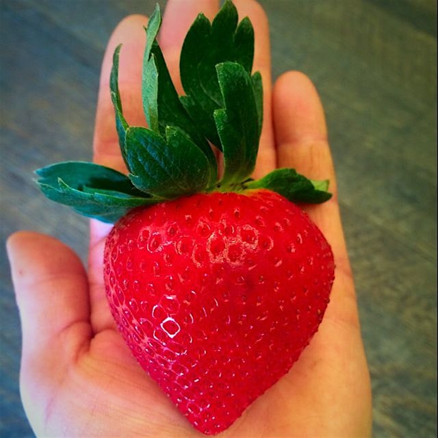 Now THAT'S a strawberry!!!