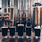 An epic beer tasting. The imperial stout (dead center) takes the cake. 