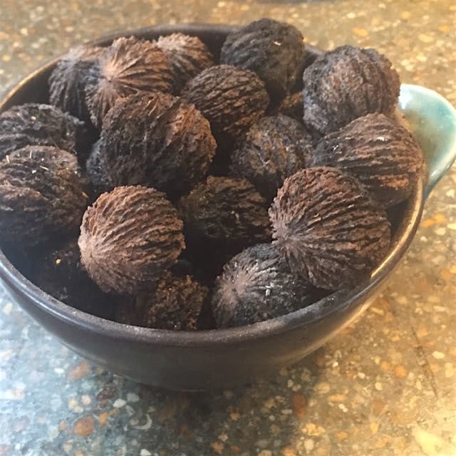 Black walnuts husked, dried by the wood stove, hard as a rock and yummy.