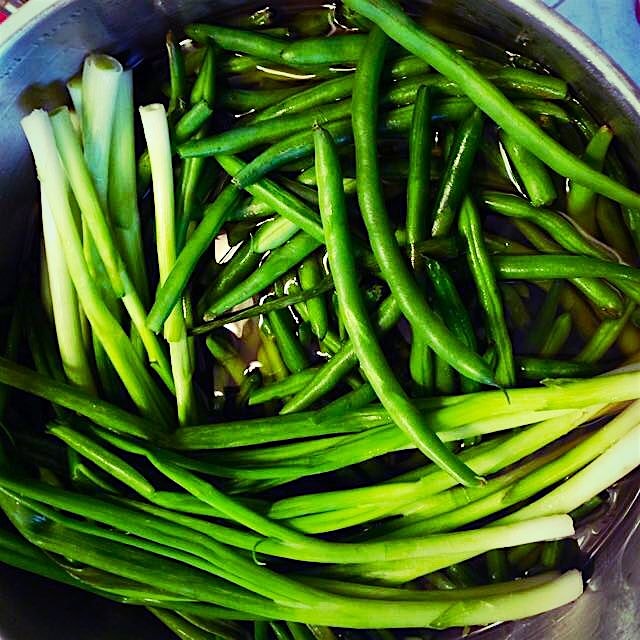 Today's a perfect day to unveil our pickled green beans and scallions from Thanksgiving 2014. Jus...