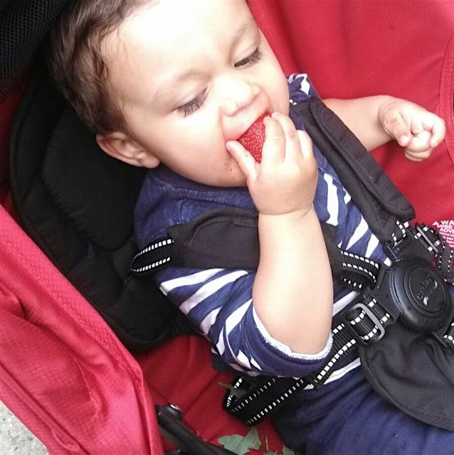 First CSA strawberry! 