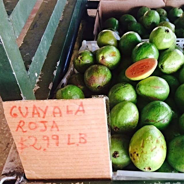 Great Cuban market finds in Miami with @MichaelHalle 