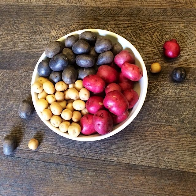 I'm thinking Potato Soup....or Roasted Potatoes....or Potato Gratin......