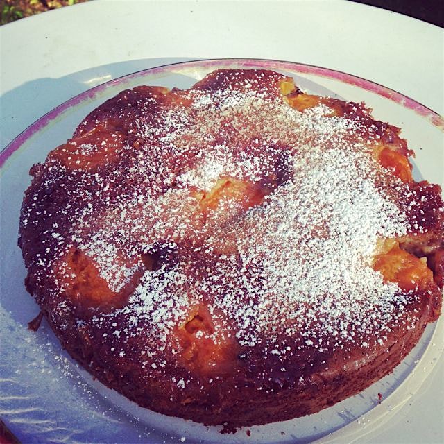 Pistachio apricot cake