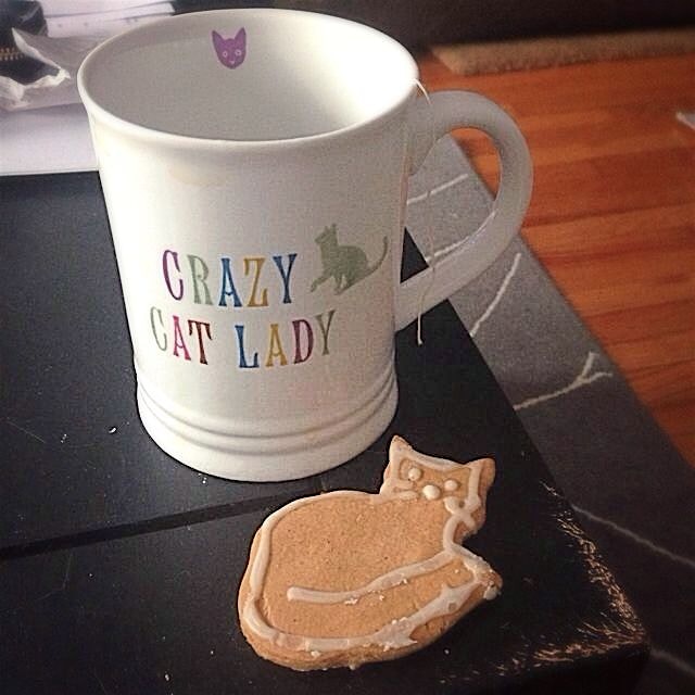 Ginger cat cookies 😻