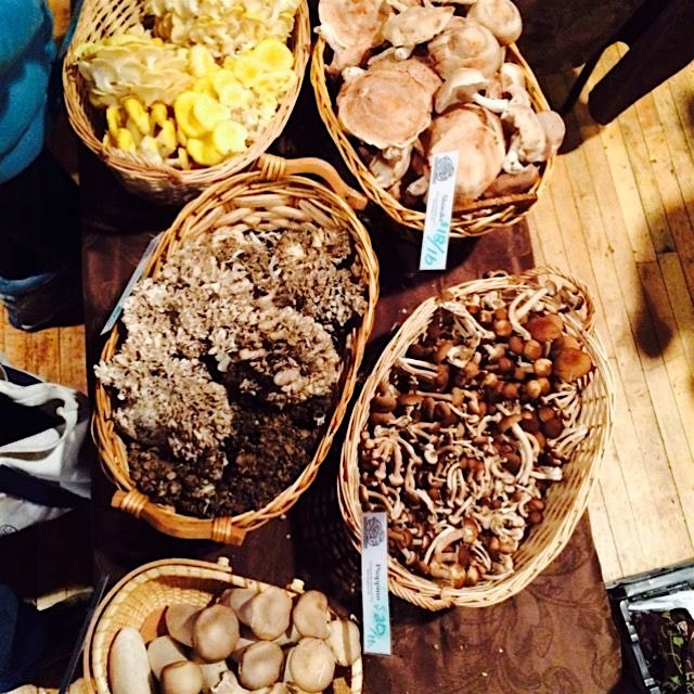 #laterstand at the Somerville indoor market. A little shroom-ucation featuring shiitake mushrooms...