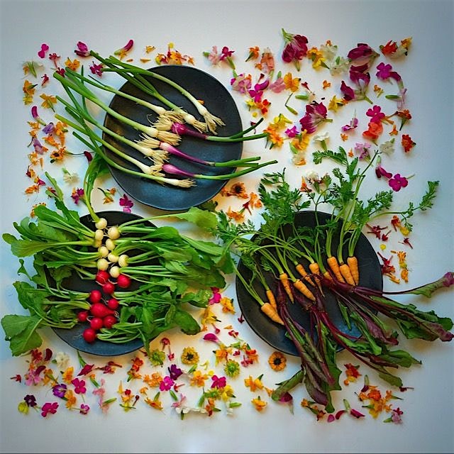 Micro greens and edible flowers are in my bowls today!