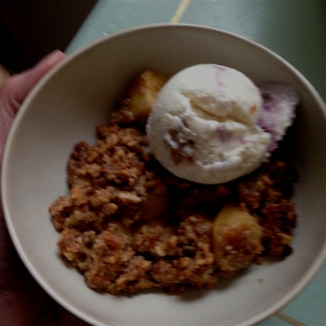 Apple crisp & Jeni's brambleberry crisp ice cream