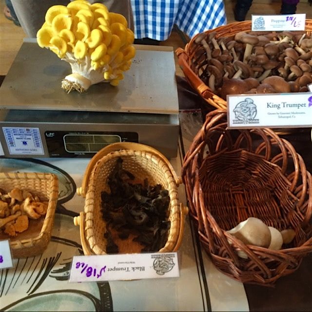 bouquet of mushrooms @ our favorite rhody farmers market💐