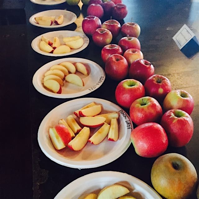 New York State apples tasting #growNYC #greenmarkets annual meeting! #nofilter
